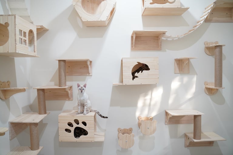 Modular Cat Wall System - Pawiture