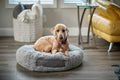 Labrador Lounge Bed - XL - Pawiture