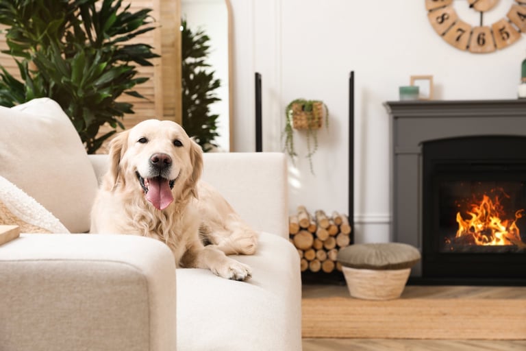 Malibu Chaise Pet Lounger - Pawiture