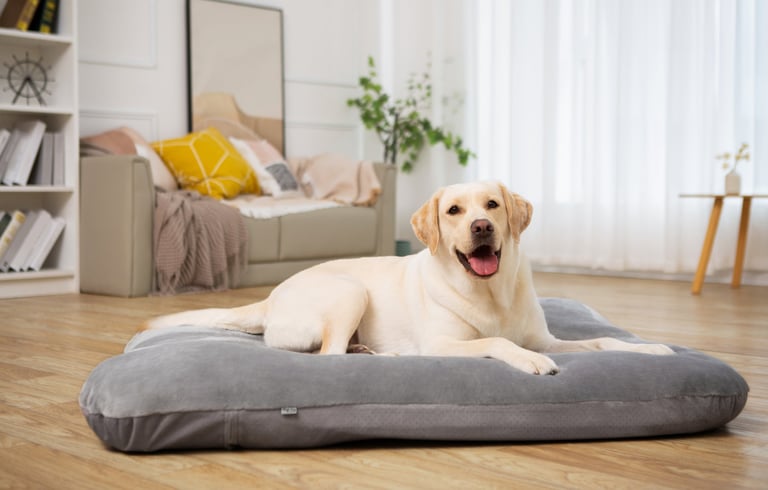 Oslo Bolster Dog Bed - Large - Pawiture