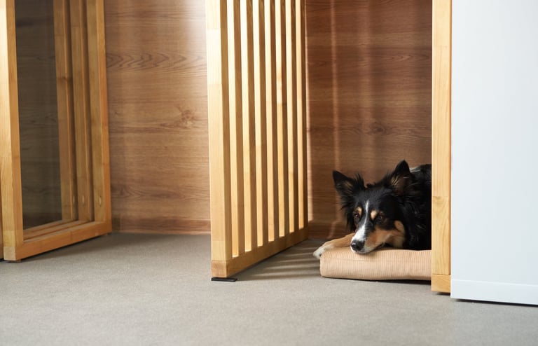 Modern Walnut Pet Console Crate - Pawiture