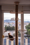 Panoramic Cat Tower - Glass & Oak - Pawiture