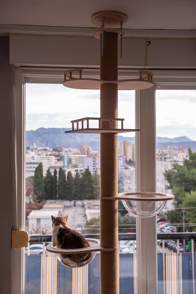 Panoramic Cat Tower - Glass & Oak - Pawiture