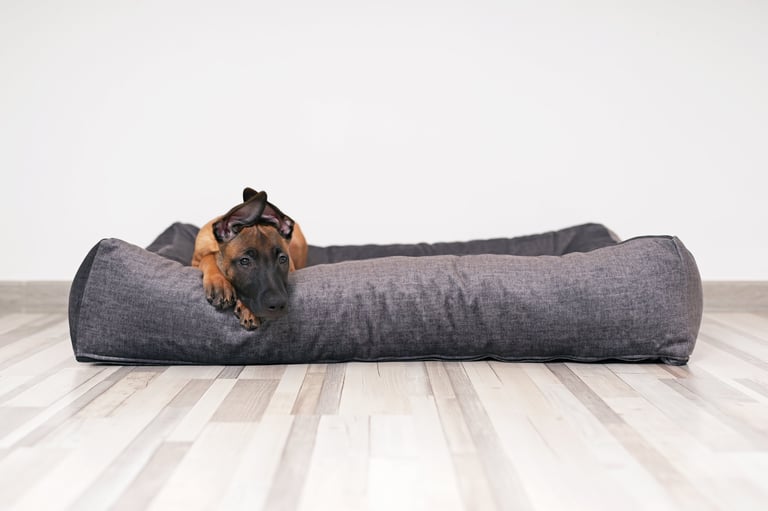 Puppy Sleep Pod - Merino Wool - Pawiture
