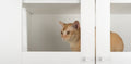 Maison Cabinet Pet Crate - Pawiture