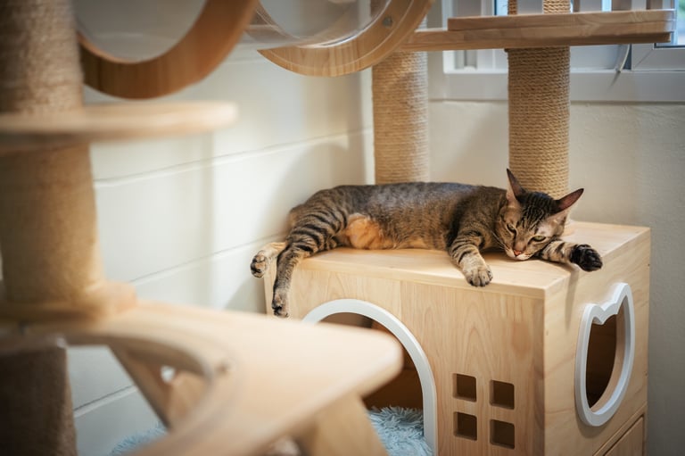 Architectural Cat Tower - Walnut - Pawiture