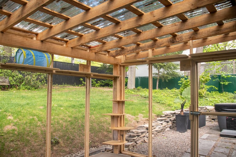 Garden Catio - Medium - Pawiture