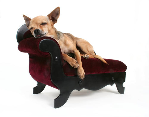 Copenhagen Velvet Pet Sofa - Pawiture premium pet furniture